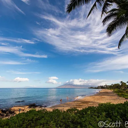 South Maui 1 Bedroom Guest Suite - Kamaole Beach Area
